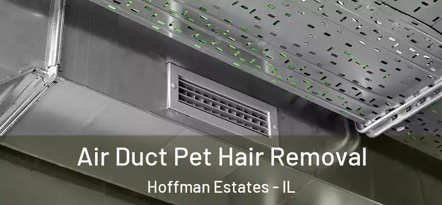 Air Duct Pet Hair Removal Hoffman Estates - IL