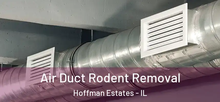  Air Duct Rodent Removal Hoffman Estates - IL
