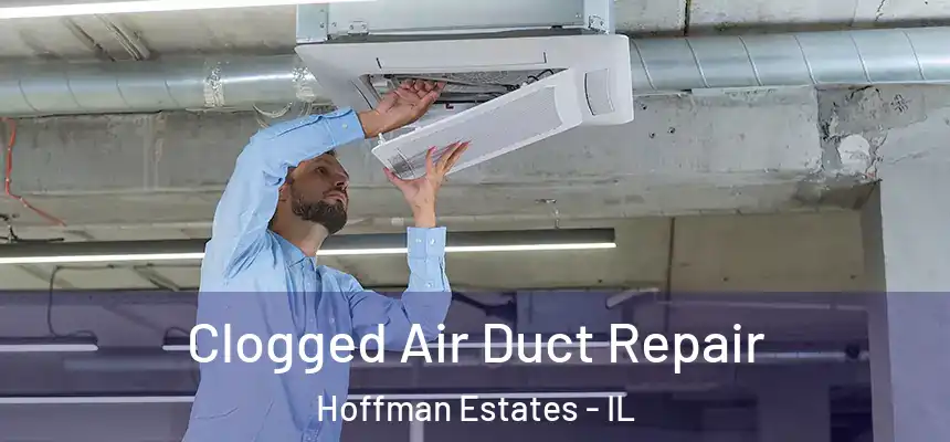  Clogged Air Duct Repair Hoffman Estates - IL