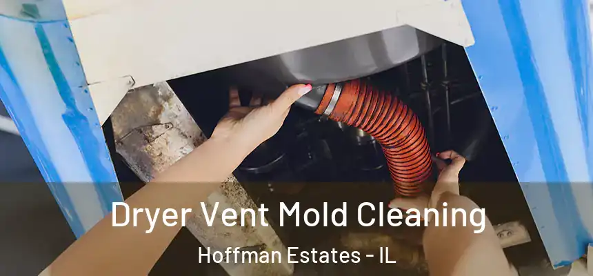  Dryer Vent Mold Cleaning Hoffman Estates - IL