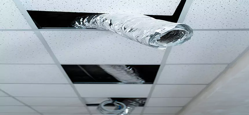 Affordable HVAC Sanitizing After Pest Removal in Hoffman Estates