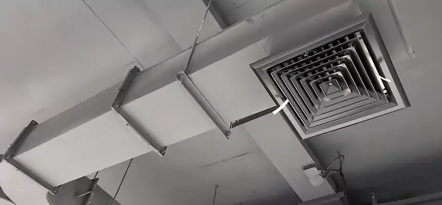 Restorative Allergy Relief Vent Cleaning – Coil, Blower & Housing Detail in Hoffman Estates