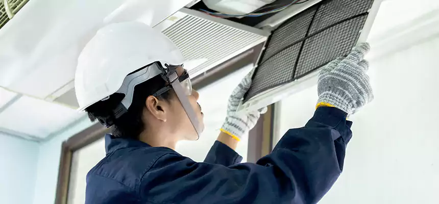 Our Mold & Mildew Removal from Air Ducts Services in Hoffman Estates, IL