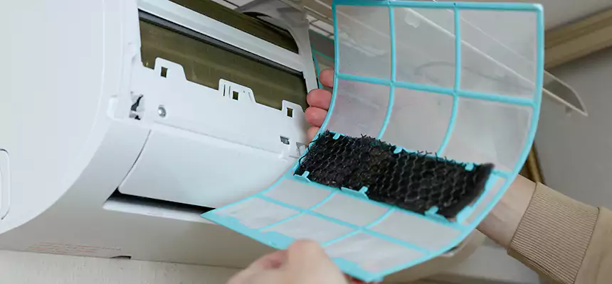 Gentle Ductwork Odor-Control Pet Dander Duct Cleaning in Hoffman Estates, IL