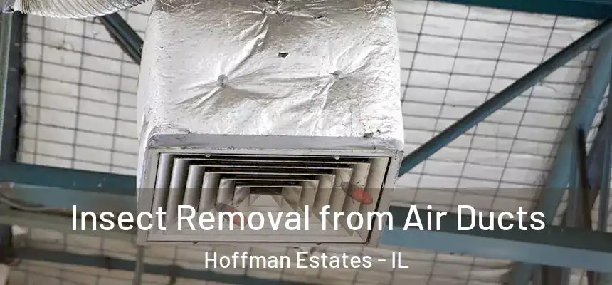 Insect Removal from Air Ducts Hoffman Estates - IL
