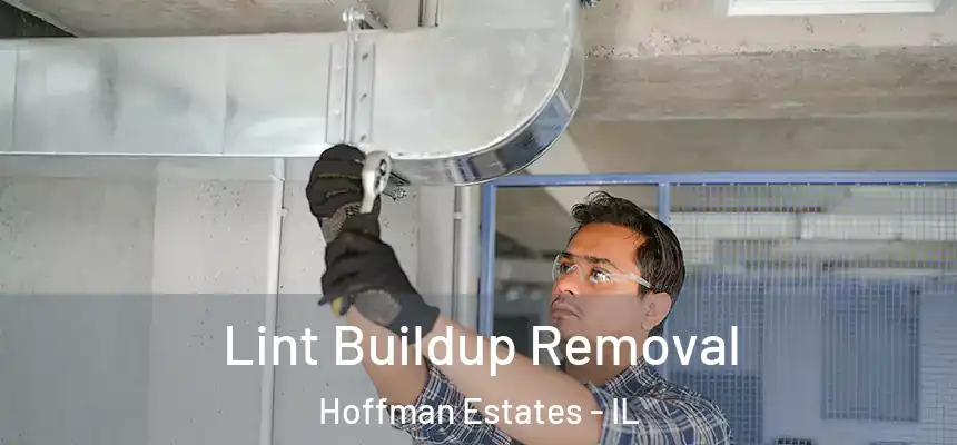  Lint Buildup Removal Hoffman Estates - IL