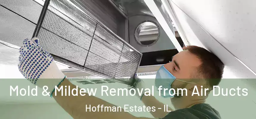  Mold & Mildew Removal from Air Ducts Hoffman Estates - IL