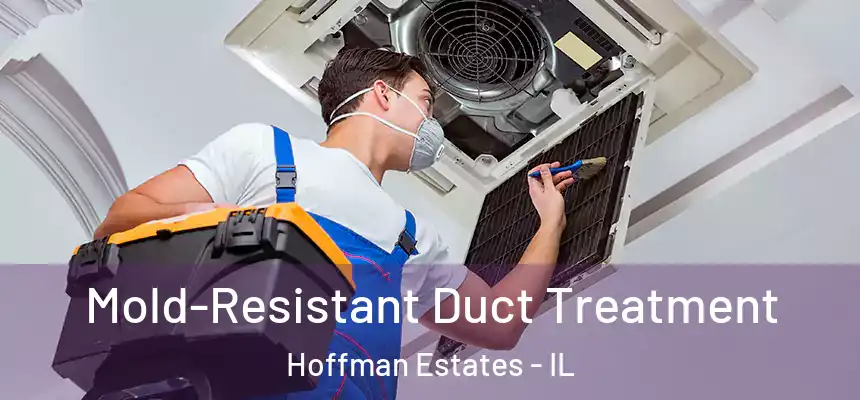  Mold-Resistant Duct Treatment Hoffman Estates - IL