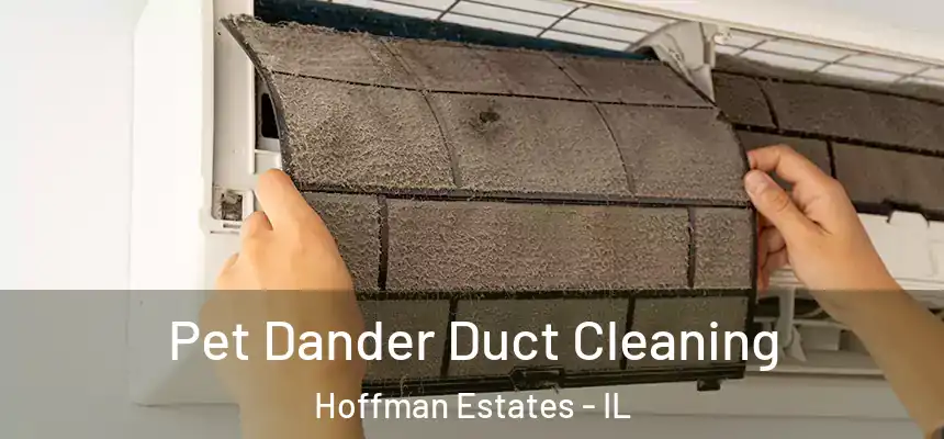 Pet Dander Duct Cleaning Hoffman Estates - IL