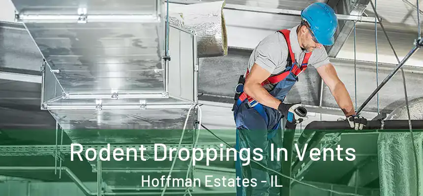  Rodent Droppings In Vents Hoffman Estates - IL