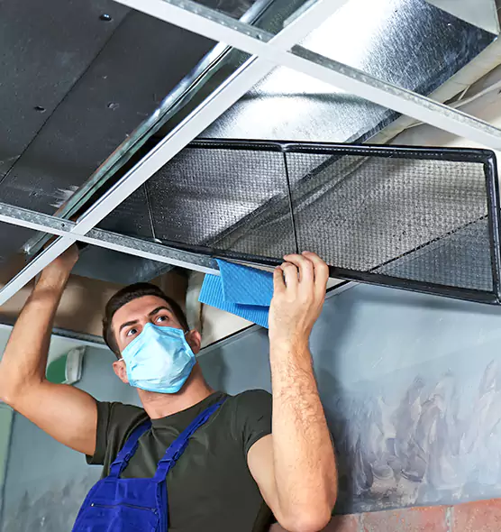 Professional Air Duct Pollen Cleaning in Hoffman Estates, IL