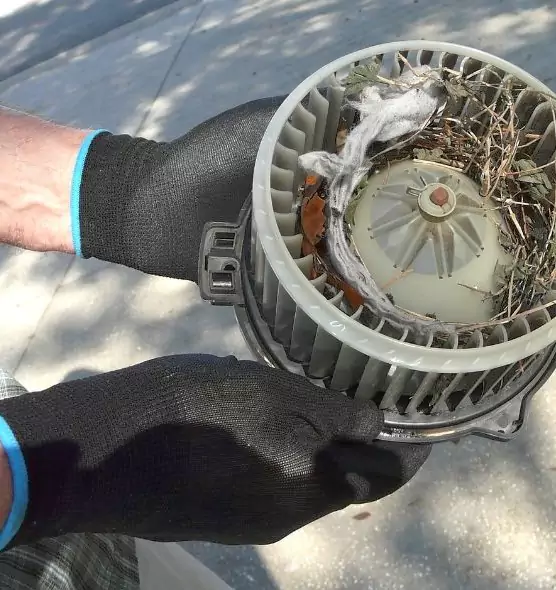 About Air Duct Rat Removal in Hoffman Estates, IL