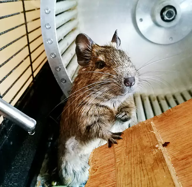 Why Homeowners & Businesses Trust Us Hoffman Estates, IL?