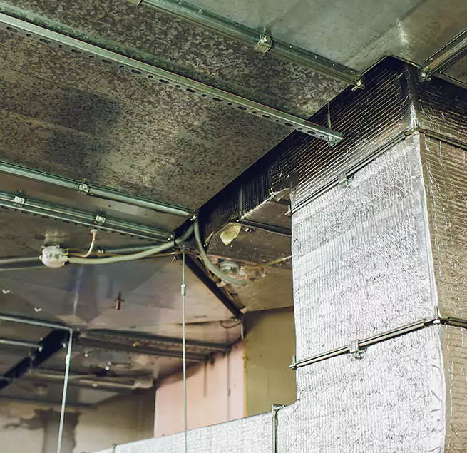 Why Homeowners & Businesses Trust Us in Hoffman Estates, IL?